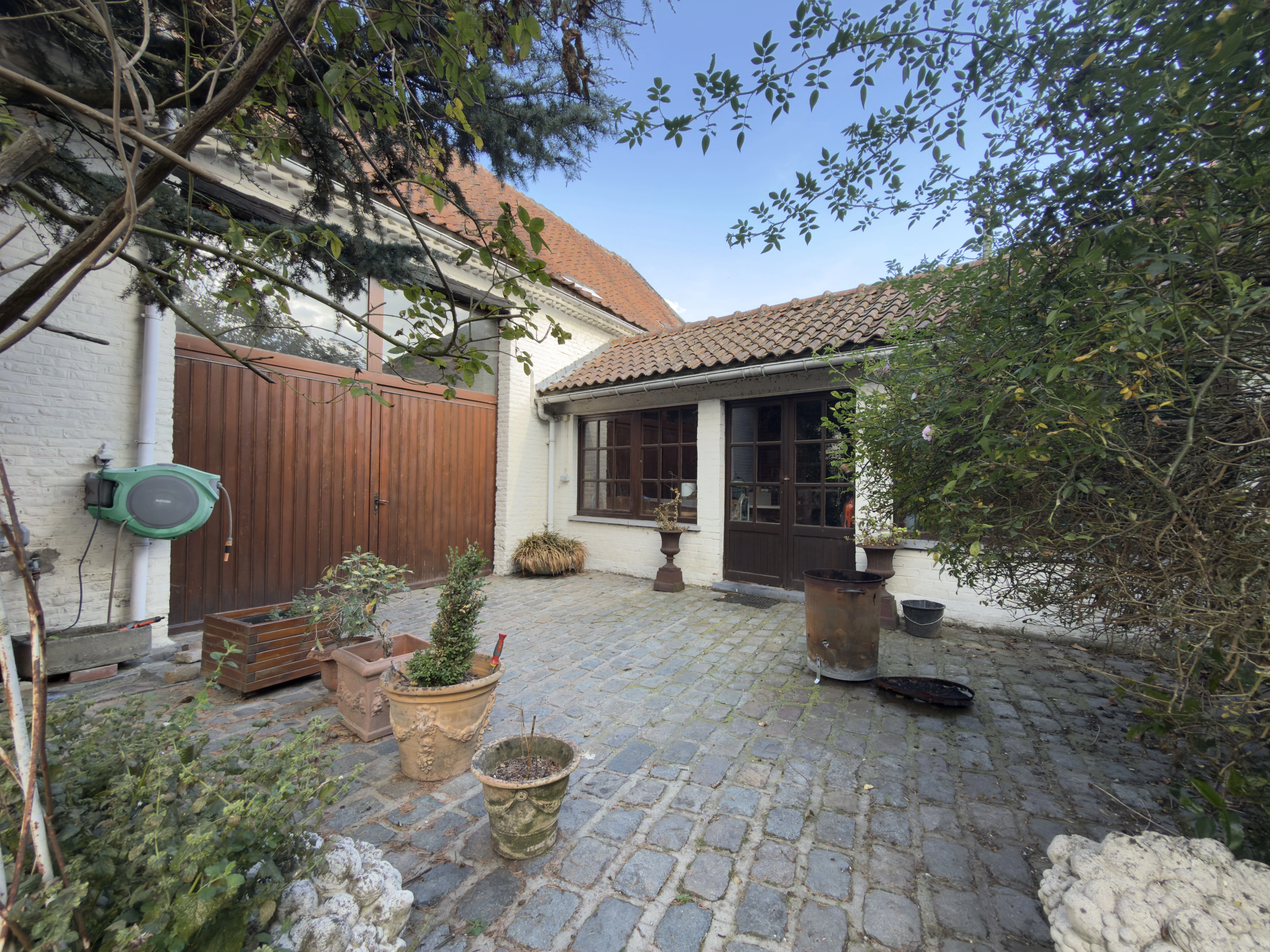 Photo du jardin avant optimisation